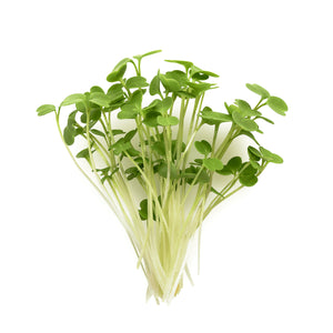 Arugula