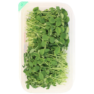 Pea Shoots